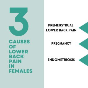 3 Causes Of Lower Back Pain In Females